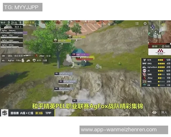 2026年3月份新闻和平精英热议RNG比赛经验引发的争议与讨论分析